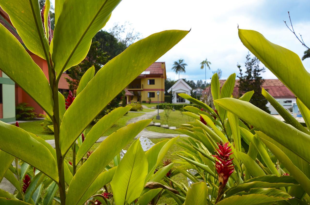 Hotel Girassol Penedo  Eksteriør billede