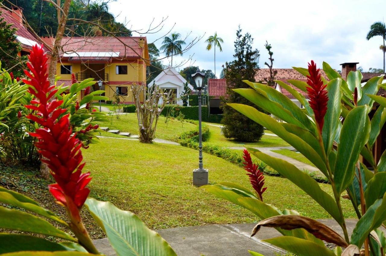 Hotel Girassol Penedo  Eksteriør billede